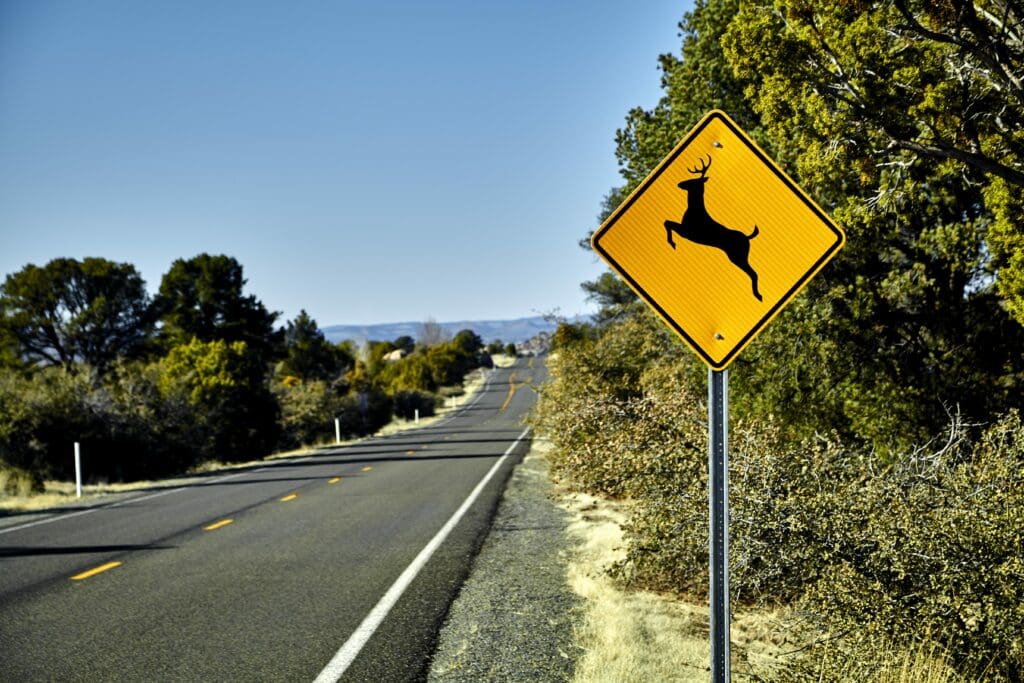 Deer Crossing Road Sign on side of asphalt road with pine trees