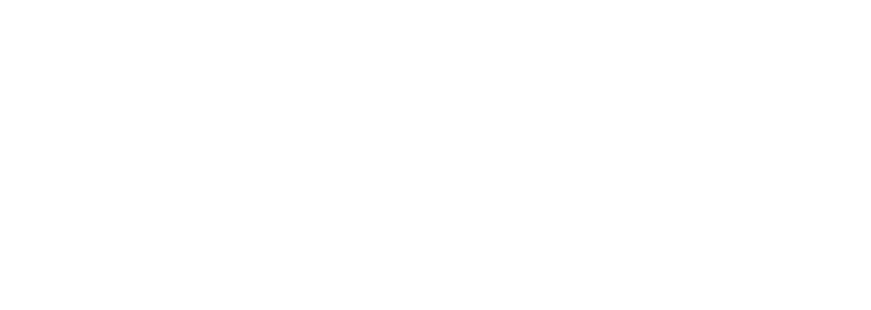 Logo-Valley-Forge-Advisors-White