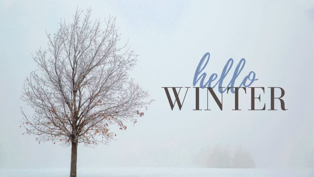 Blog - Winter Wise - Navigating the Chill with Clever Tips for Safety and Sanity