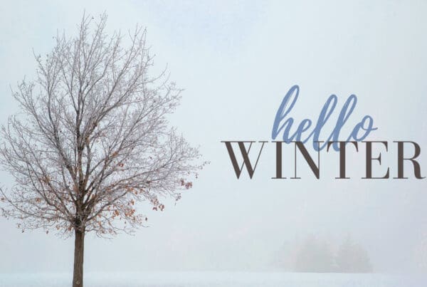 Blog - Winter Wise - Navigating the Chill with Clever Tips for Safety and Sanity