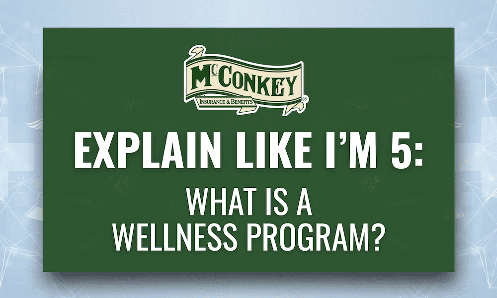 What Is a Wellness Program? - Graphic with text Explain Like I'm 5 What Is A Wellness Program?